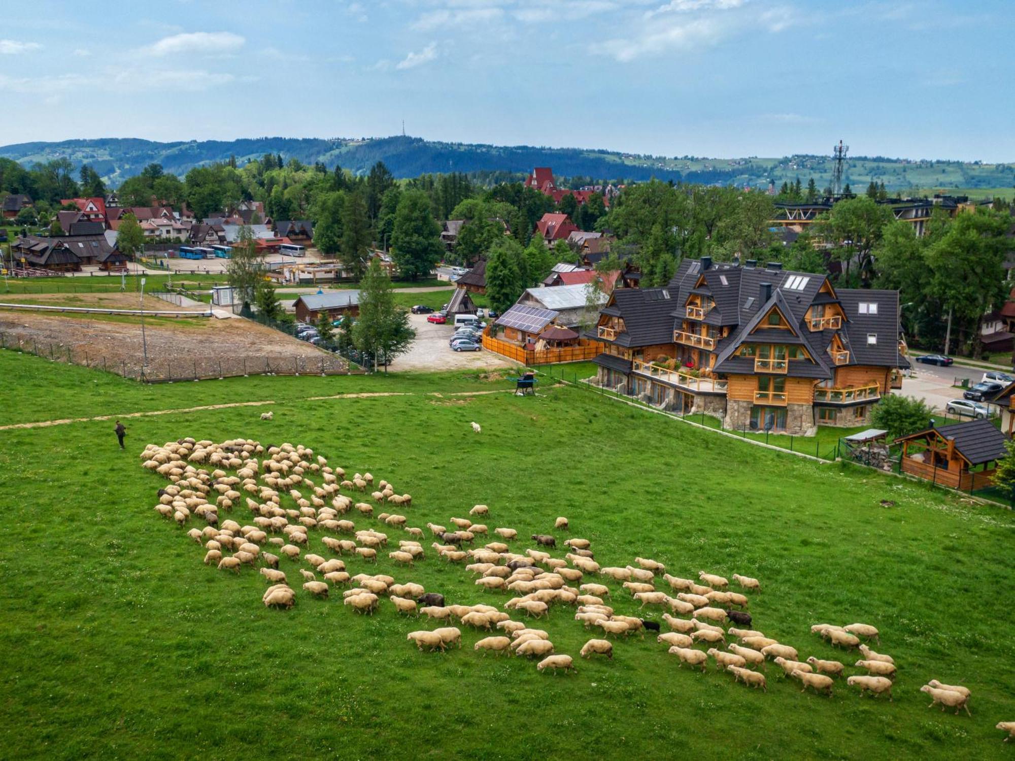 Nosal Apartment Zakopane Esterno foto